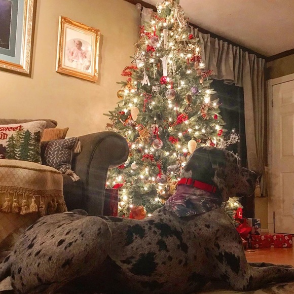 Meet your Posher, Edith - Picture 1 of 1